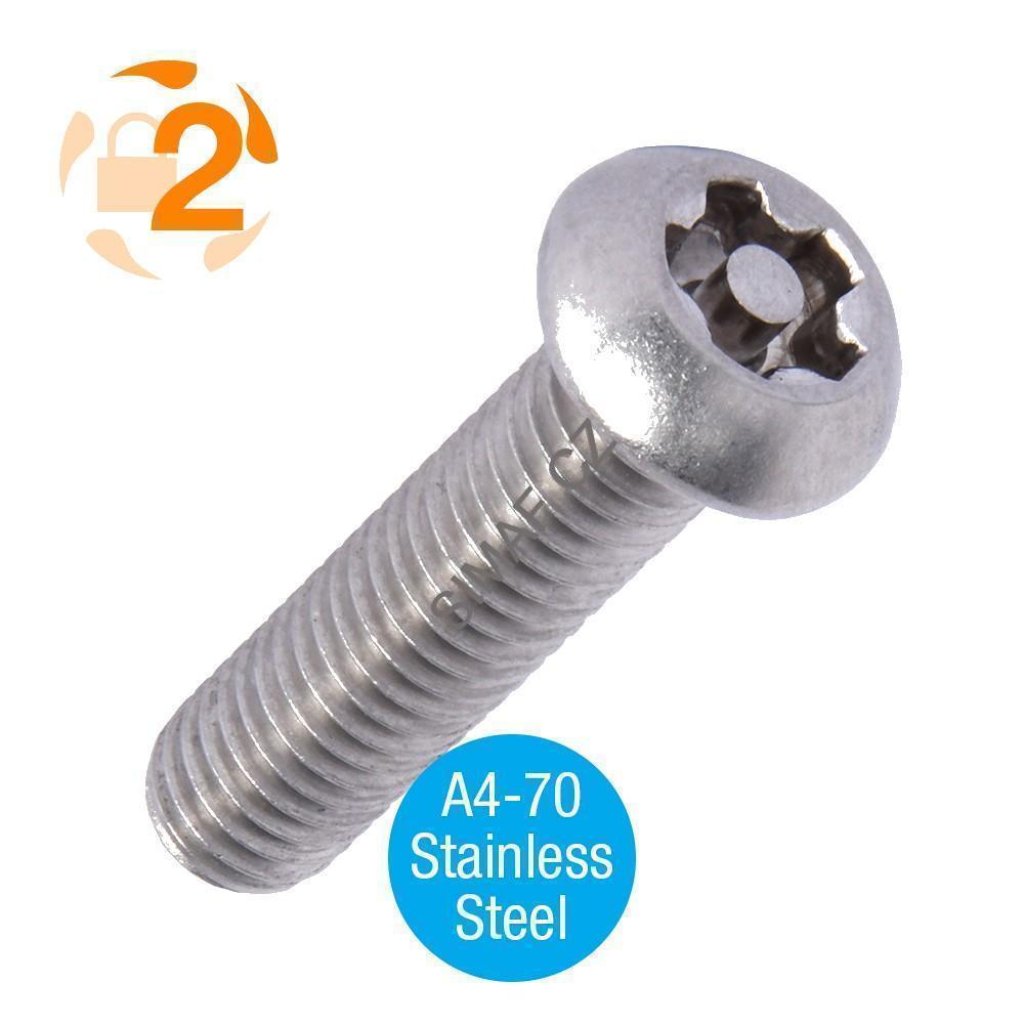 Bezpečnostní šroub s 5-ti obloučkem a čepem  M6 x 20 mm