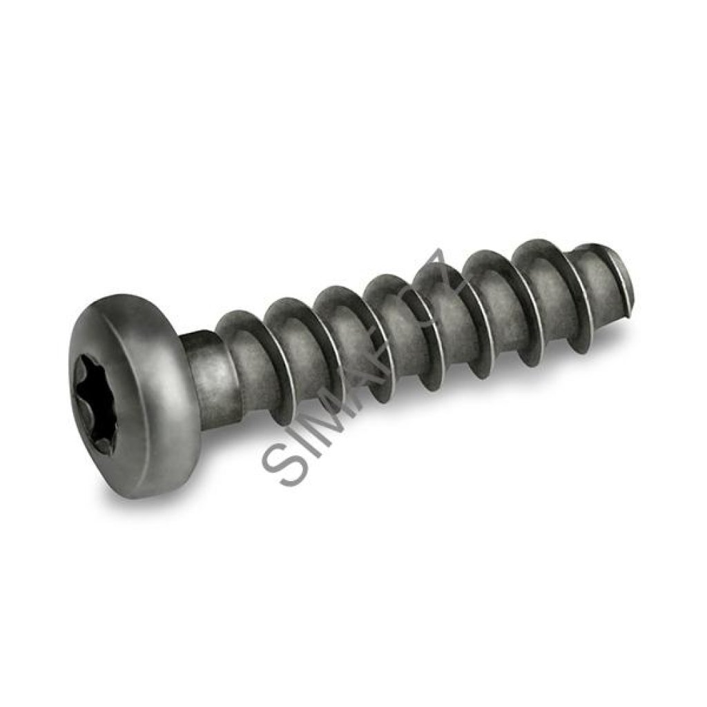 Šroub do plastu POLYFORM 2 TORX+ 4x10