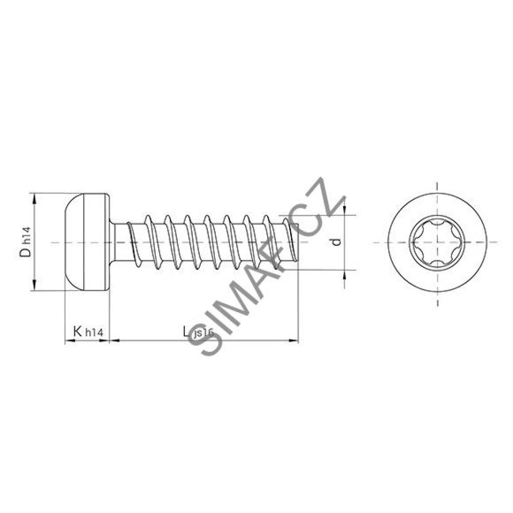 Šroub do plastu POLYFORM 2 TORX+ 4x10