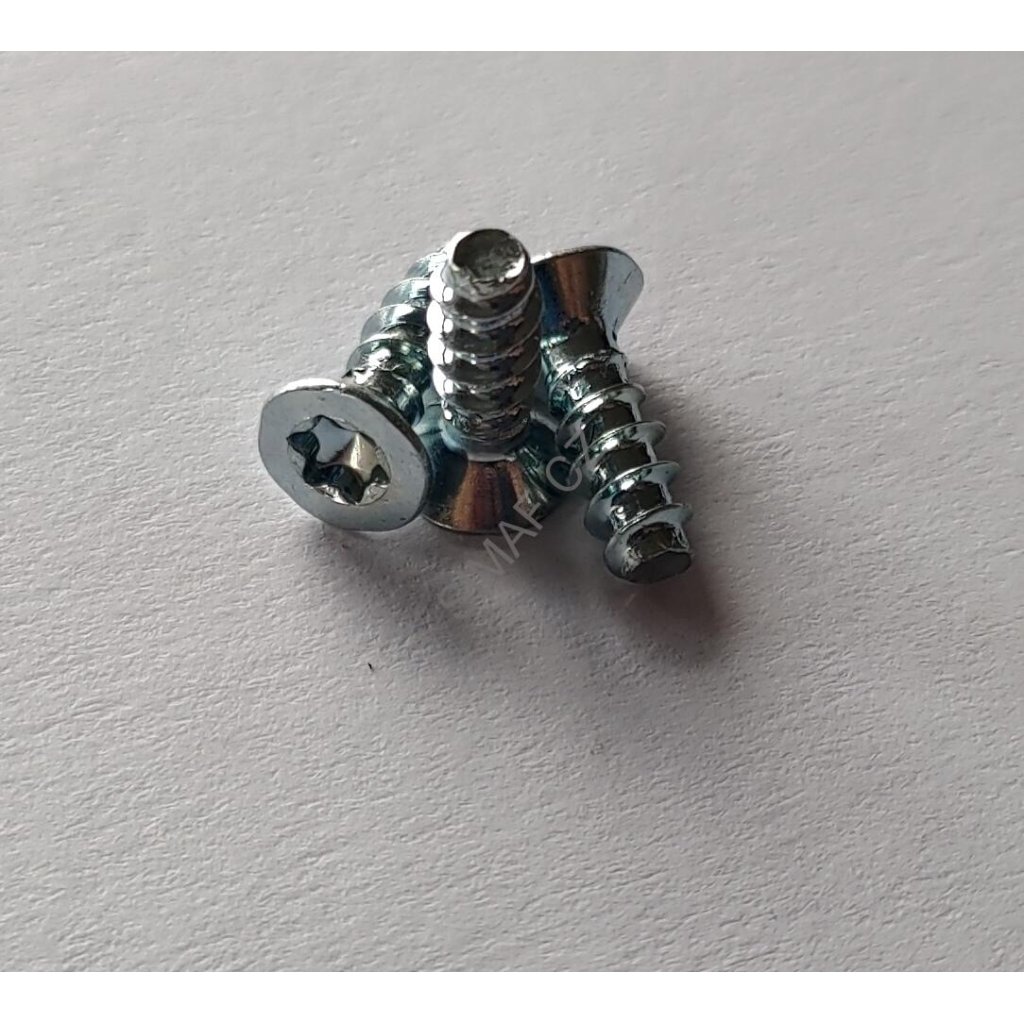 Šroub do plastu POLYFORM TORX 3x6