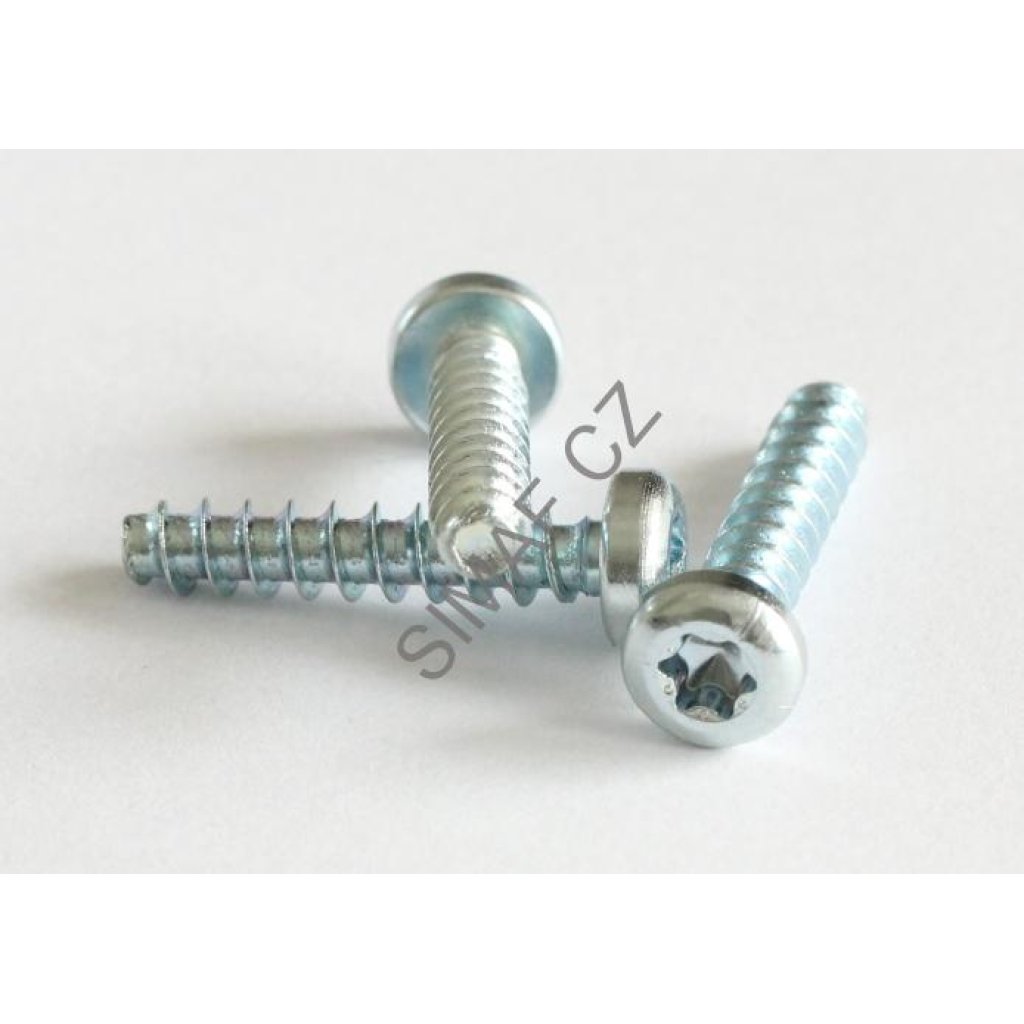 Šroub do plastu POLYFORM TORX 4x10