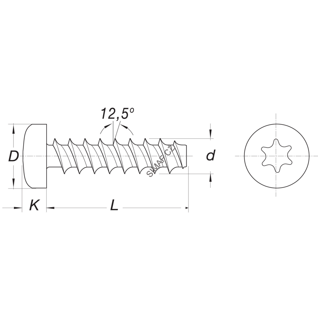 Šroub do plastu POLYFORM TORX 4x10