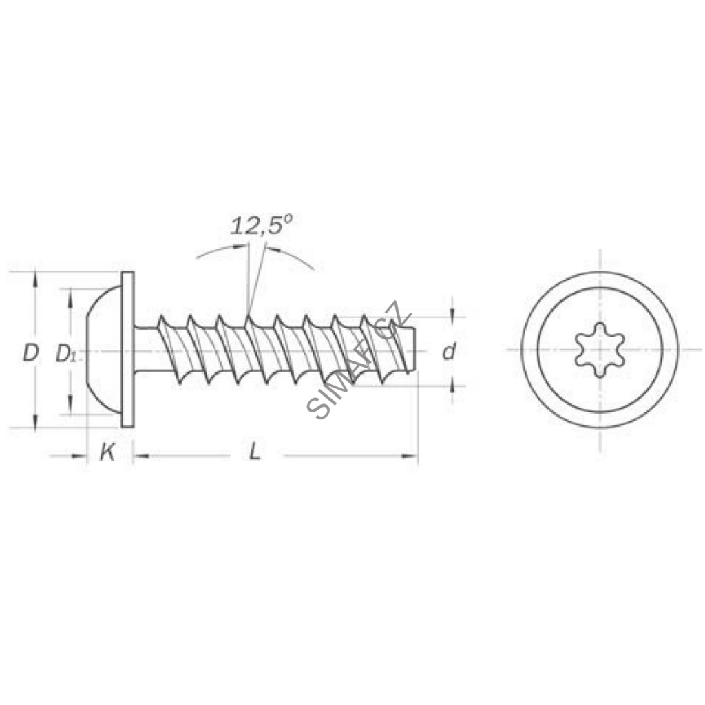 Šroub do plastu POLYFORM TORX+ 5x20