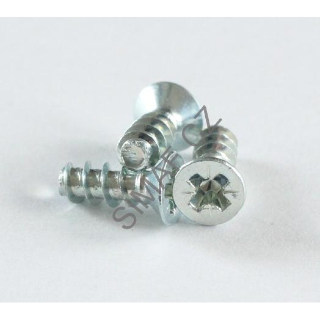 Šroub do plastu POLYPLAST PZD 3.1x10