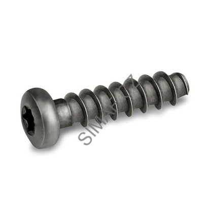Šroub do plastu POLYFORM 2 TORX+ 4x10