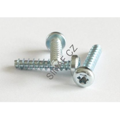 Šroub do plastu POLYFORM TORX 3x12
