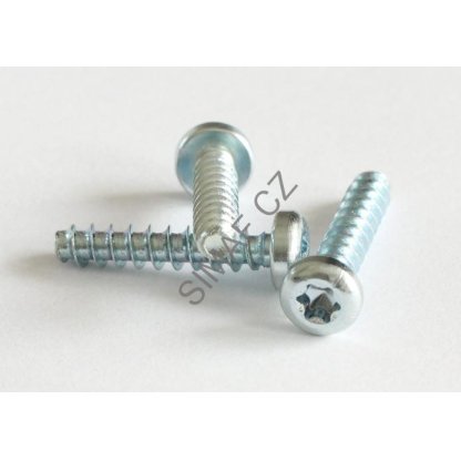 Šroub do plastu POLYFORM TORX 4x10