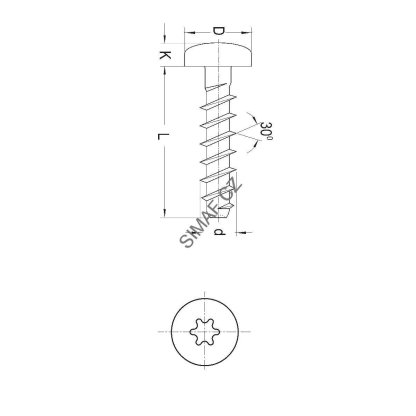 Šroub do plastu PT 30° TORX 4x20