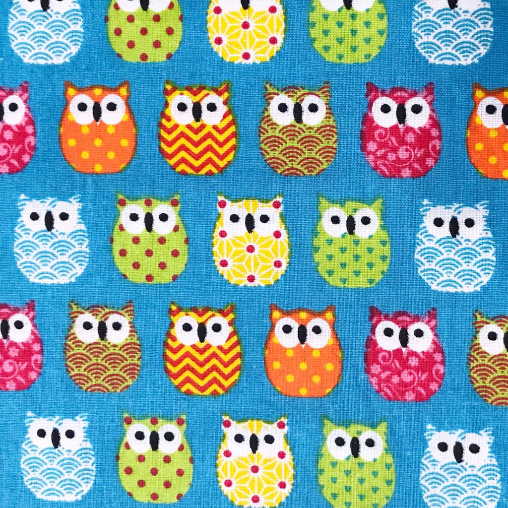 Colourful owls