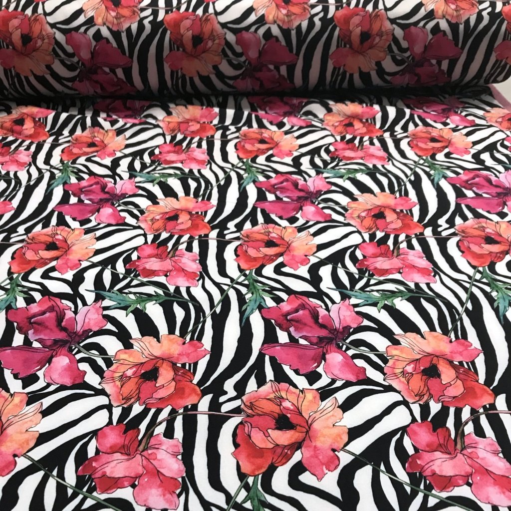 Květovaná zebra softshell