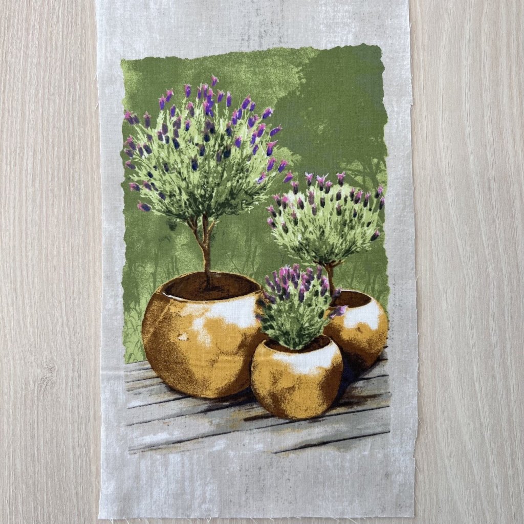 Levandule v květináči 17x30 cm
