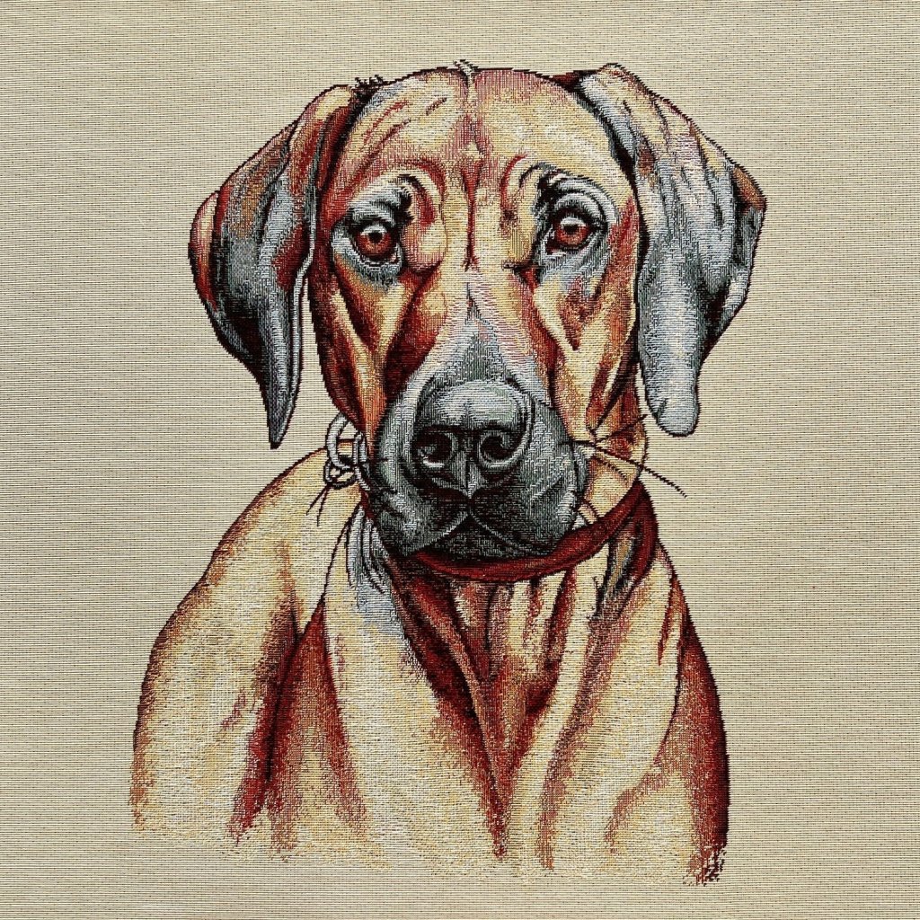 Panel na polštář Rhodéský ridgeback