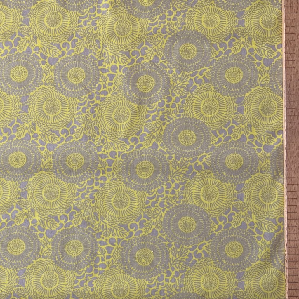 Žluté a režné gerbery 3587