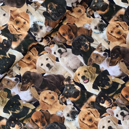 Trend Puppies