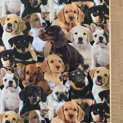 Trend Puppies