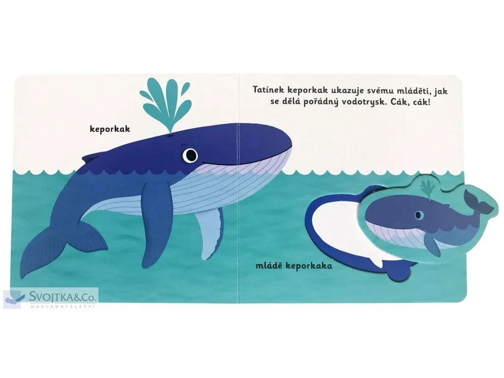 MiniPEDIE – Objevujeme svět! Mláďata z moře