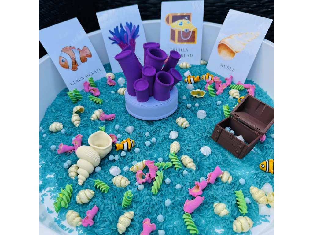 Naběračka ve tvaru mušle pro sensory play 