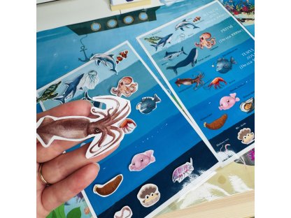 PDF sada – Pod hladinou moře