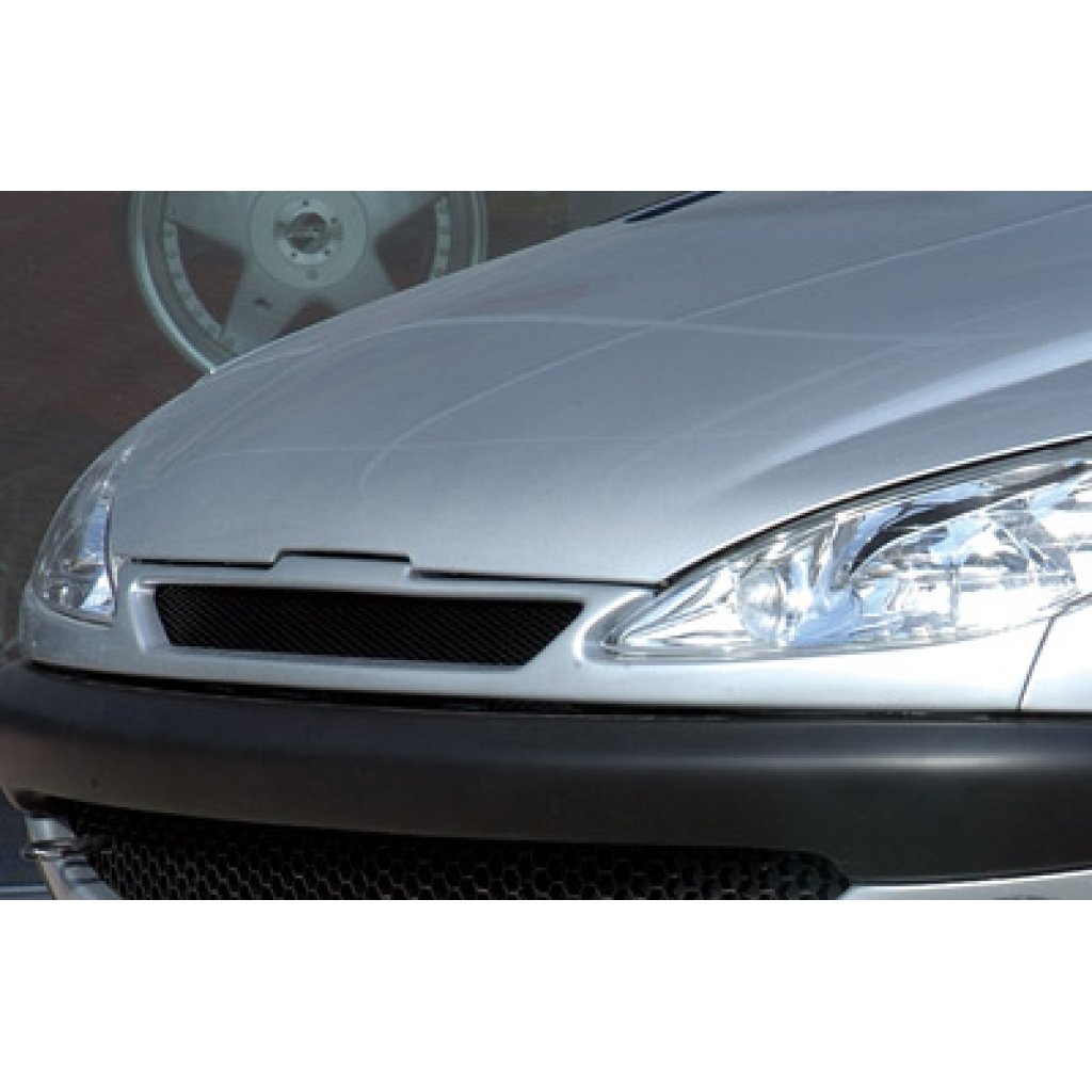 Rieger maska chladiče pro Peugeot 206 convertible CC, sedan, plast ABS bez povrchové úpravy