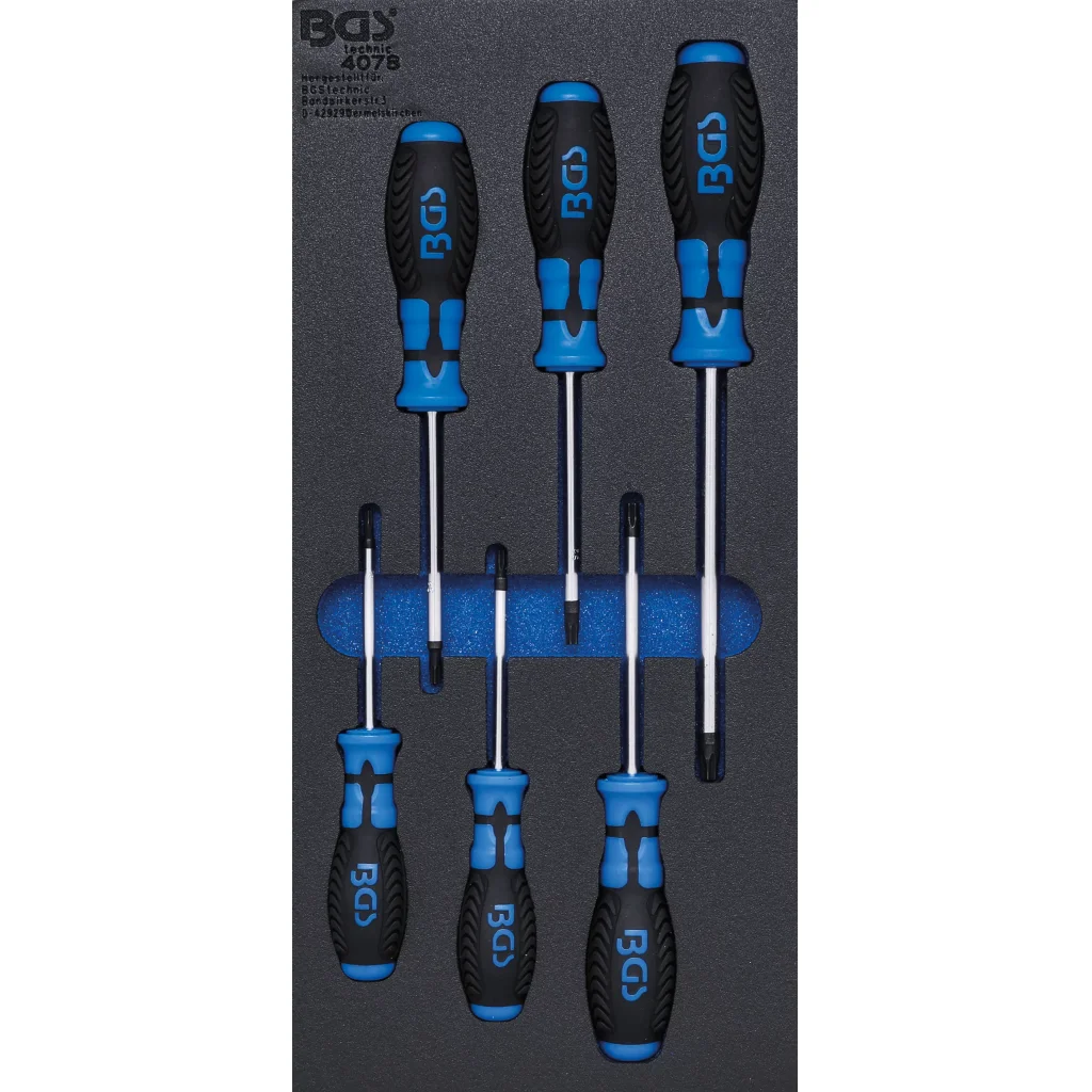 Sada šroubováků v pěnové výplni, Torx, 6 ks - B4078