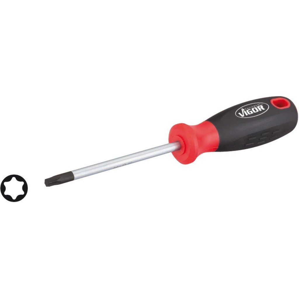 Šroubovák TORX, T6 - V4419