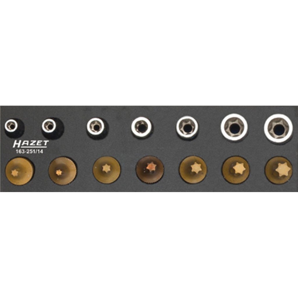 TORX sada nářadí 163-251/14