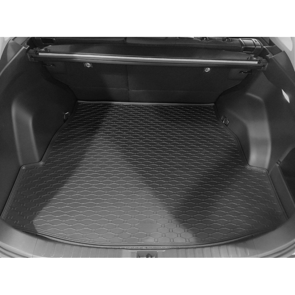 Vana do kufru gumová Toyota Rav 4 2019- | RIGUM