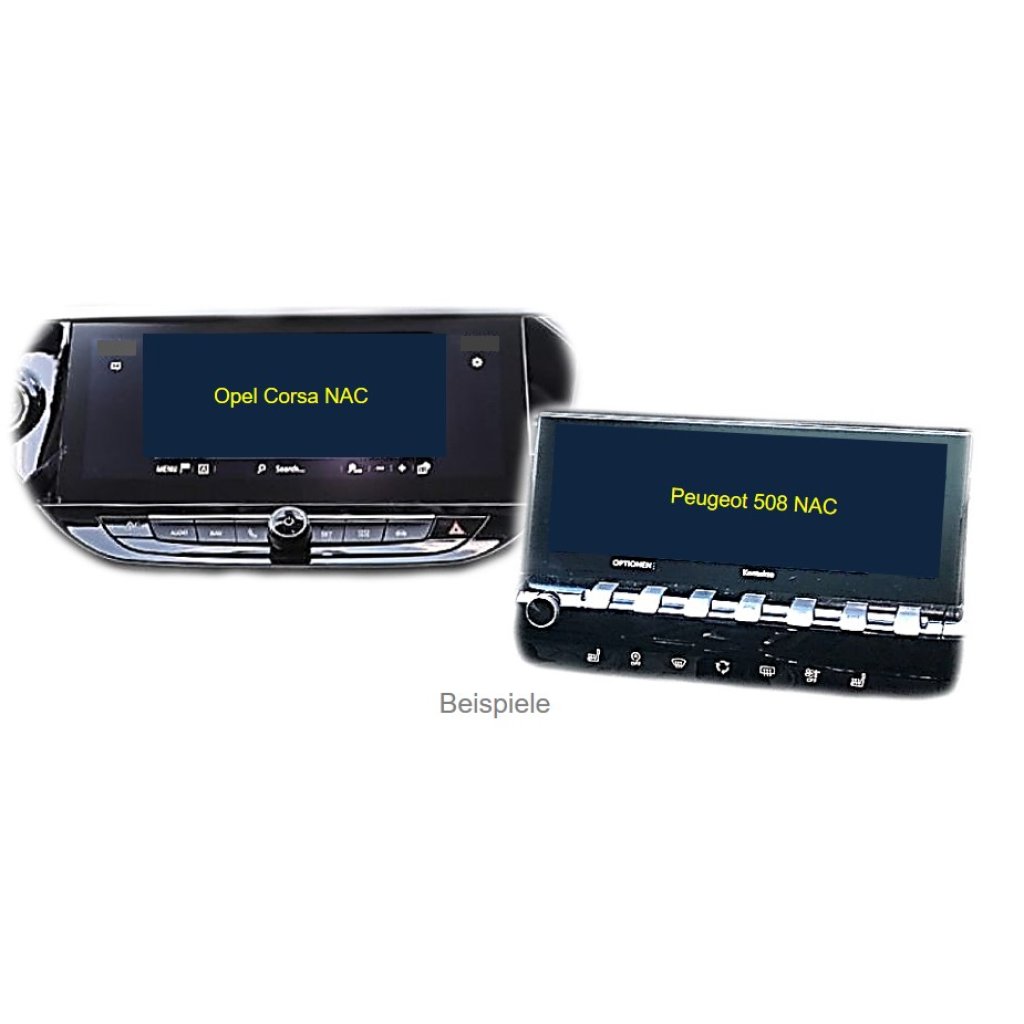 Video vstup Peugeot/Citroën NAC 10,25"