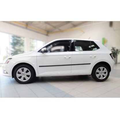 Boční lišty na dveře Škoda Fabia III 2014-2021 F35 | Rider