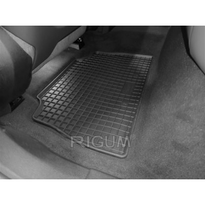 Gumové autokoberce BMW X6 G06 2019- | RIGUM