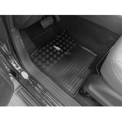 Gumové autokoberce Dongfeng DF6 2017- | RIGUM