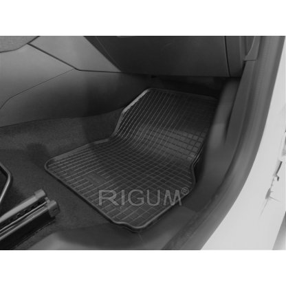 Gumové autokoberce Renault Zoe 2019- | RIGUM