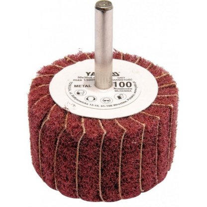 Kotouč lamelový radiální 50x30 P-100 s hřídelí 6 mm