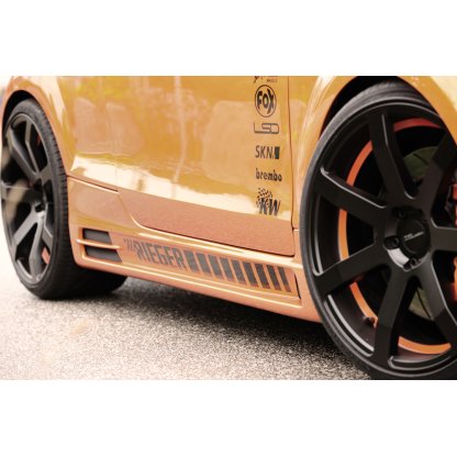 Rieger boční práh mont. strana levá pro Audi TT 8J kupé, roadster, r.v. 09/06-, plast ABS bez povrchové úpravy, s prolisem, s prolisem a dvěma výřezy
