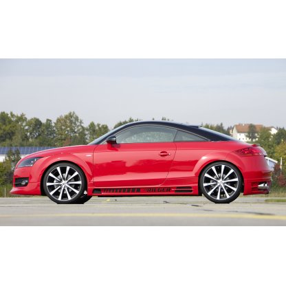 Rieger spoiler pod zadní nárazník pro Audi TT 8J kupé, roadster před faceliftem r.v. 09/06-06/10, plast ABS s povrchovou úpravou Carbon-Look, pro dvojité koncovky vlevo/vpravo