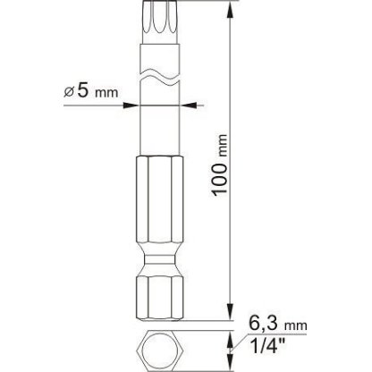 Sada bitů 1/4" 2 ks TORX L=100 mm T10, T25