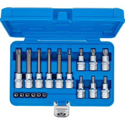 Sada nástrčných klíčů, Torx, 1/4", 1/2", T10 - T60, 18 ks - B5173