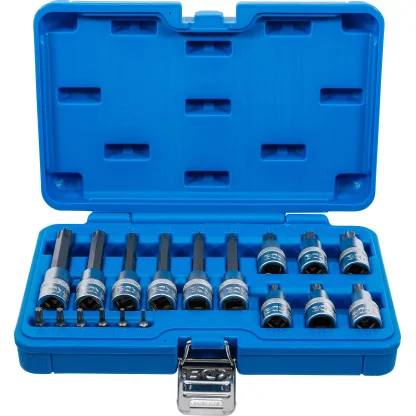 Sada nástrčných klíčů, Torx, 1/4", 1/2", T10 - T60, 18 ks - B5173