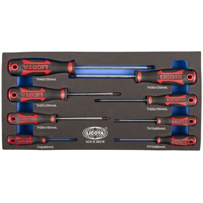Sada šroubováků v pěnové výplni, Torx, 8 ks - LIACKE38316