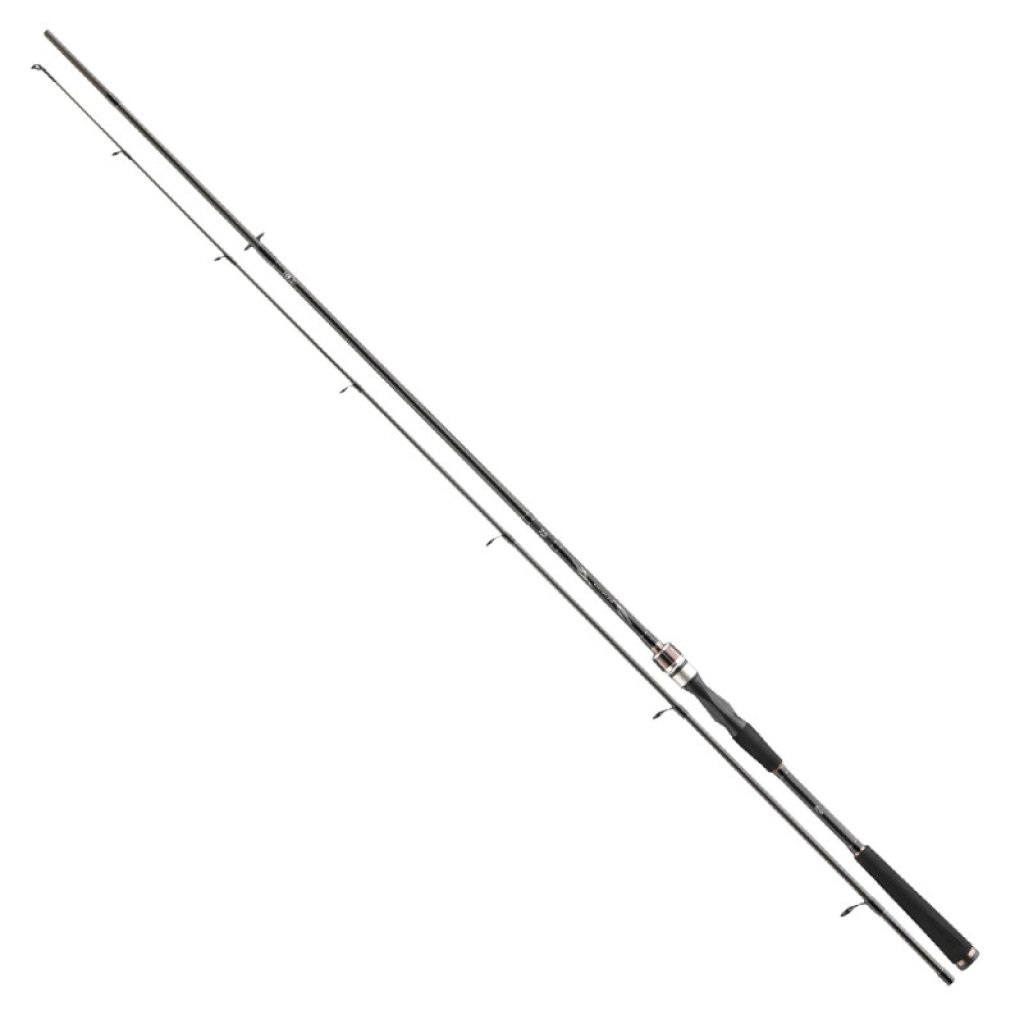 Daiwa Prut Exceler Spin 2,4m 10-40g