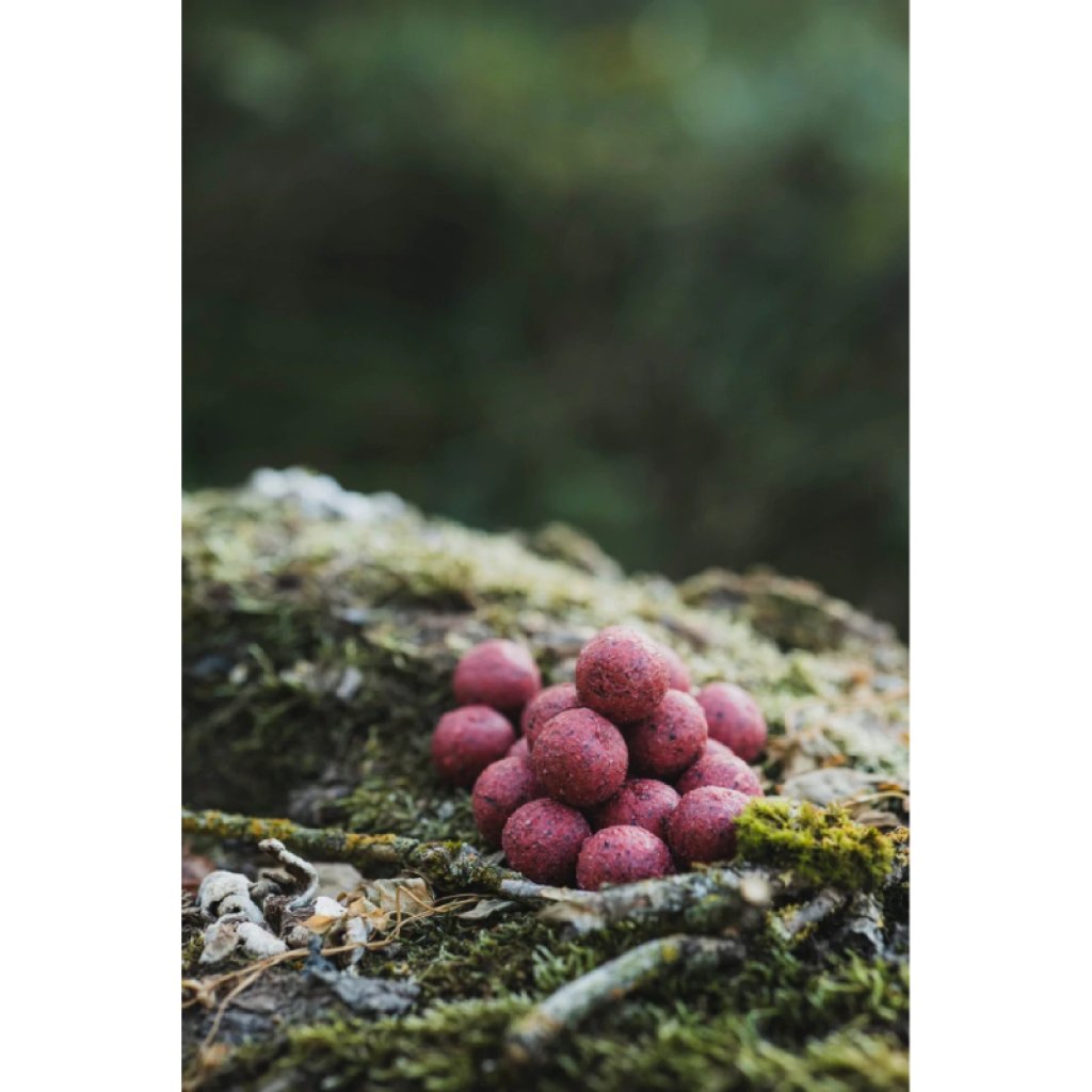 DK FISHING boilies Power Attract jahoda 5kg 24mm