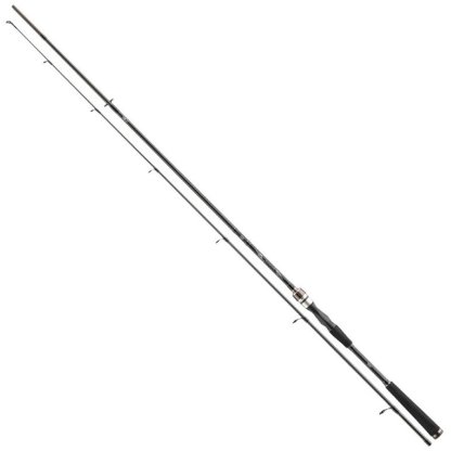 Daiwa Prut Exceler Spin 2,25m 5-20g
