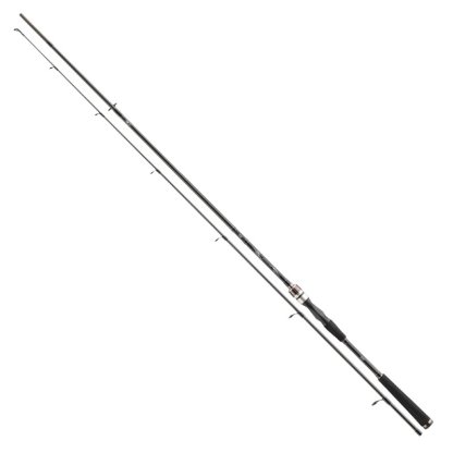 Daiwa Prut Exceler Spin 2,4m 10-40g