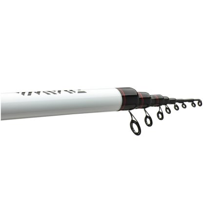 Daiwa Prut Ninja Bolo 6m 25g