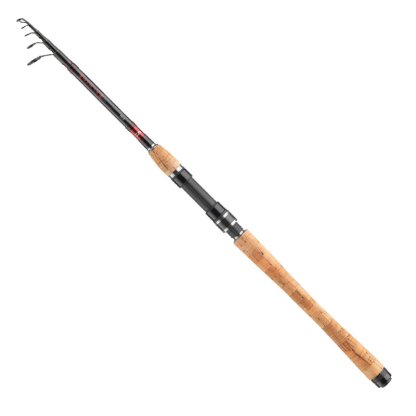 Daiwa Prut Ninja X Tele 2,4m 10-30g
