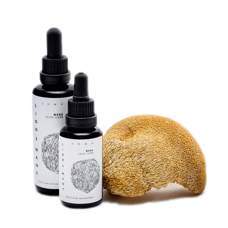 Levně Lion´s Mane extrakt 30 ml