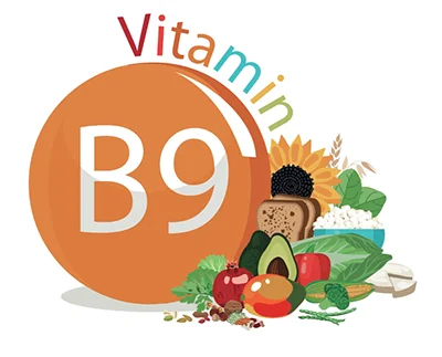 Železo chelátové + vitamín B9 - 60 kapslí