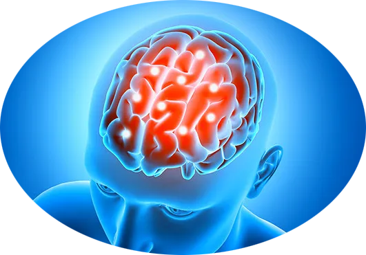 Powerlogy Brain Focus