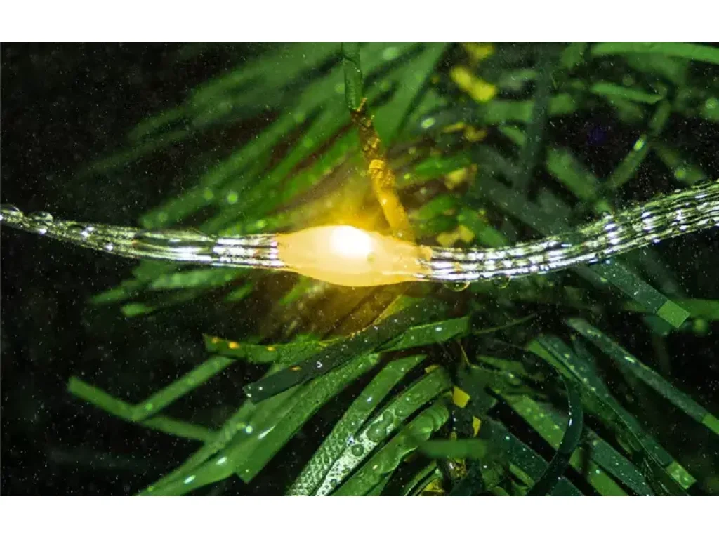 Venkovní nano LED řetěz 50m 500LED