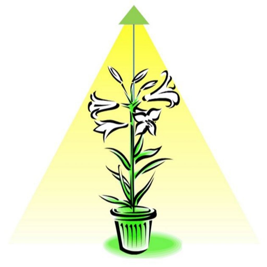 SUNLiTE měděná 7W - LED osvětlení pro růst pokojových rostlin